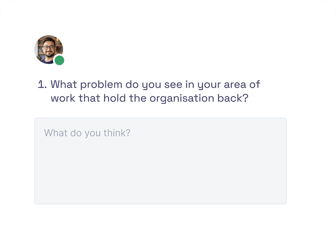 Structured survey interface